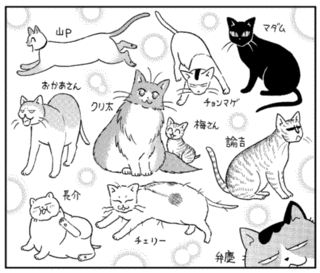 空乃さかなの画像