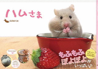 久井めぐみの画像
