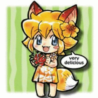 ここまひの画像