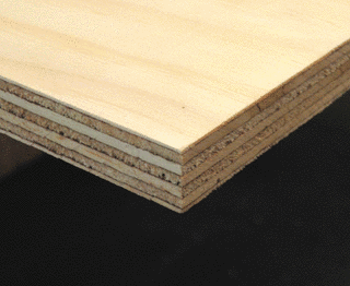 MULTIPLEXの画像