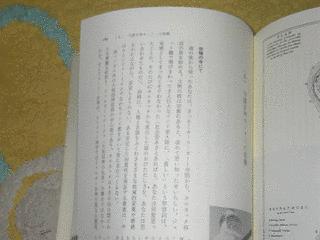 安引宏の画像
