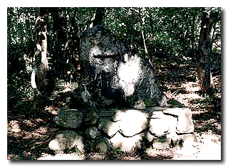 石塚友二の画像