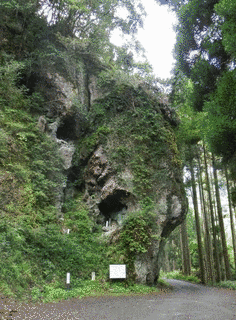 岩井護の画像