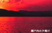 大下徳也の画像