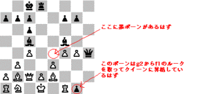 尾崎諒馬の画像