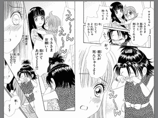 月のしっぽの画像