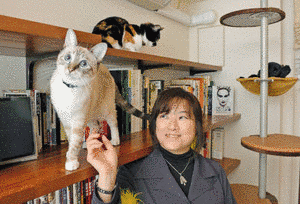 金巻ともこの画像