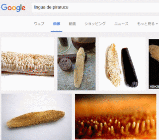 醍醐麻沙夫の画像