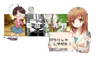 猫田しゅばるの画像