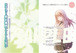 野村美月の画像