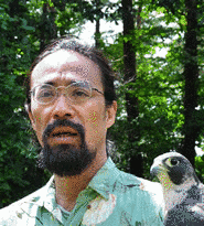 波多野鷹の画像