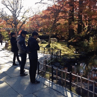 古沢元の画像