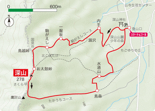 深山森の画像