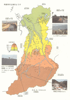 和泉市の画像