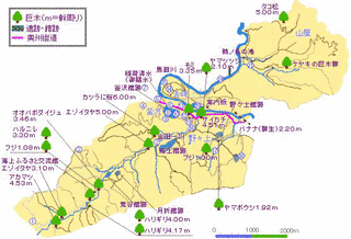 二戸市の画像