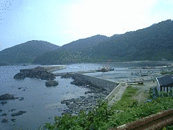 粟島浦村の画像