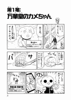 動物のカメちゃんの画像