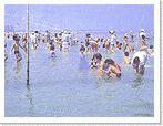 伊勢の海県立自然公園の画像