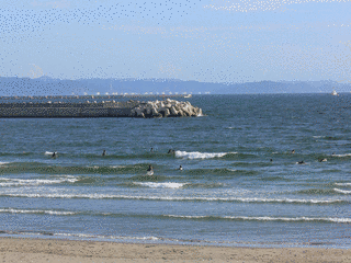 磯ノ浦の画像