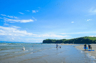 糸ヶ浜の画像
