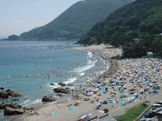 今井浜海水浴場の画像