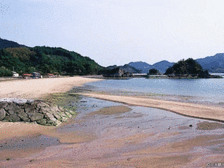 台海岸の画像