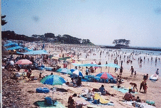 お伊勢浜海水浴場の画像