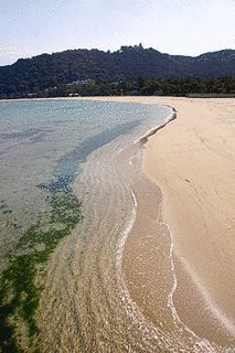大浜海岸の画像