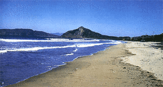 大原海岸の画像
