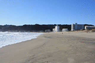 御宿海岸の画像