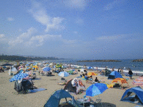 河原子海水浴場の画像
