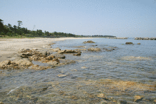 黒津崎海岸の画像