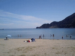 気比の浜の画像