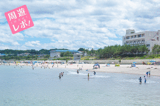 国府海水浴場の画像
