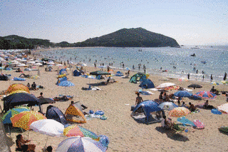 御座白浜海水浴場の画像