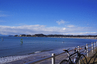 材木座海岸の画像