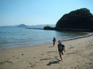下ノ江海岸の画像