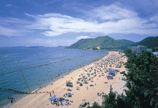 渋川海岸の画像