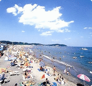 菖蒲田海水浴場の画像