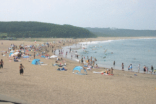 白浜海岸の画像