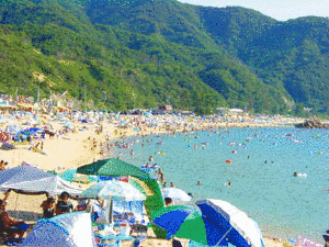 水晶浜海水浴場の画像