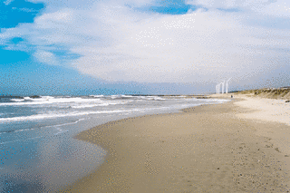 瀬波海岸の画像