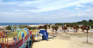 せんなん里海公園の画像