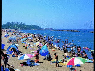 鷹巣海水浴場の画像