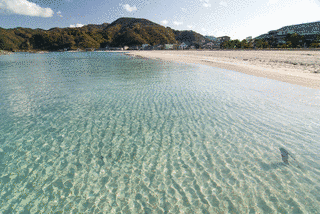 竹野浜の画像