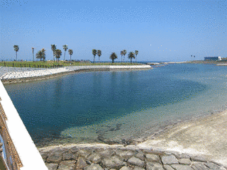 田ノ浦海岸の画像