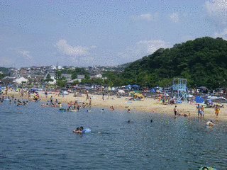 淡輪海水浴場の画像