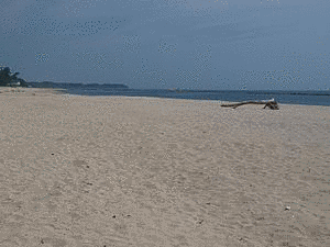 奈多海岸の画像