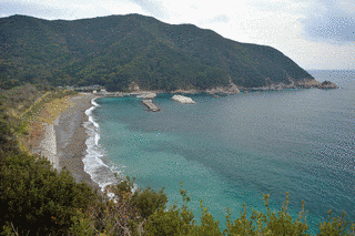 間越海岸の画像
