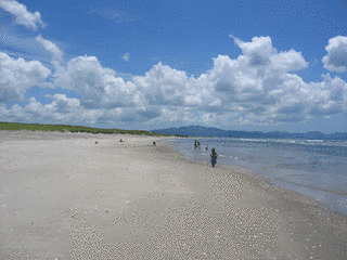 吹上浜の画像